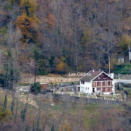 Apartamento Les Cedres Ax-les-Thermes Exterior foto